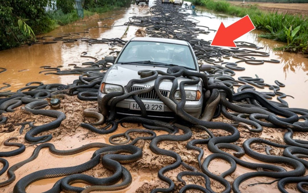 75 Most Incredible Moments Ever Caught on Camera